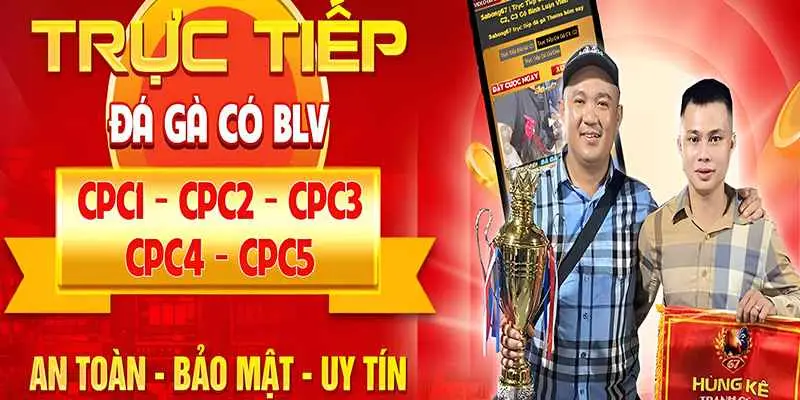 Giải trí đá gà Thomo tại nhà cái uy tín Dola789