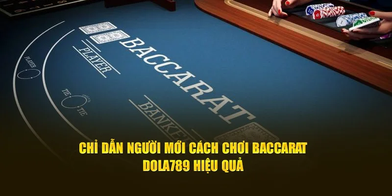 Chỉ dẫn người mới cách chơi baccarat Dola789 hiệu quả 