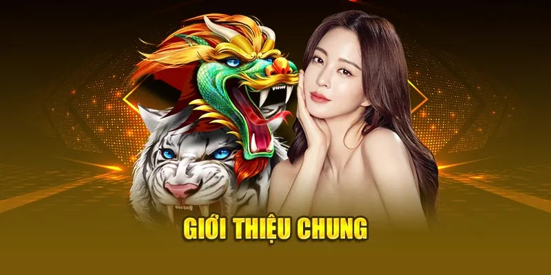 Giới thiệu chung Rồng Hổ Dola789