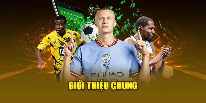 Giới thiệu chung sảnh Bti Sports Dola789